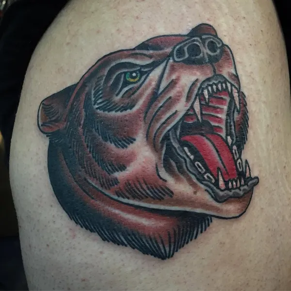 Animal, Tiger