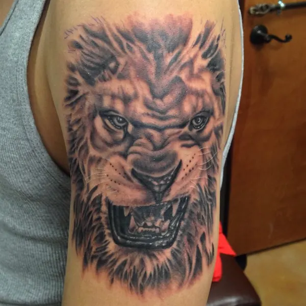 Tiger, 사자자리