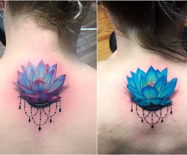 Flower, 연꽃, 한국 연꽃, 연꽃 만다라
