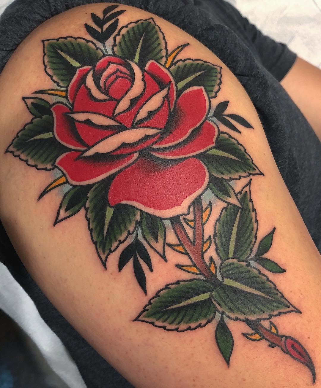 Flower, Rose, Nature