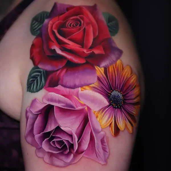 Flower, Rose, Nature