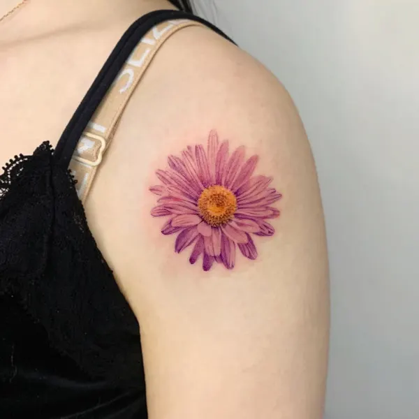 Flower, 모란, 국화, 데이지, 히비스커스