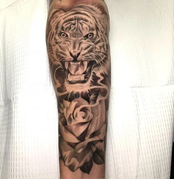 Tiger, 일본 호랑이, 중국 호랑이, 한국 호랑이