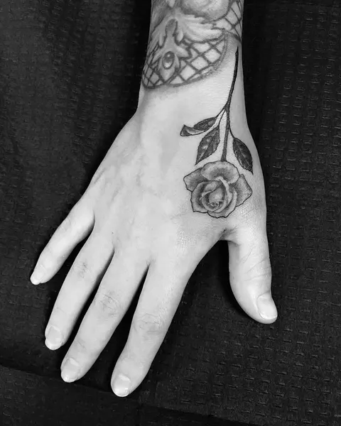 Flower, Rose