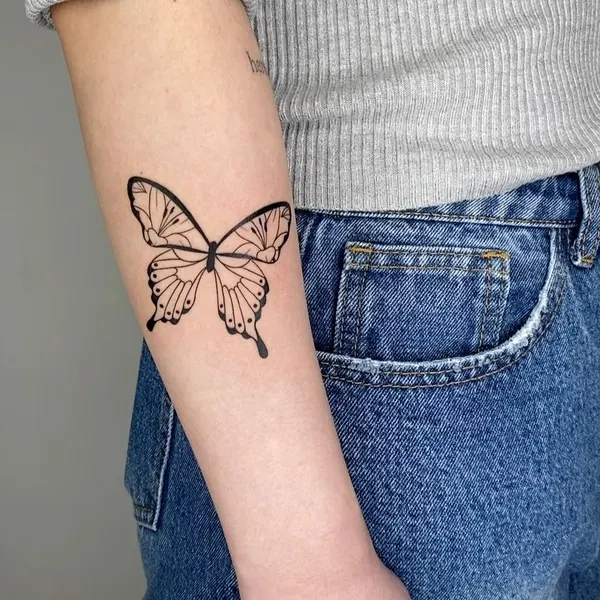 Animal, Nature, 나방