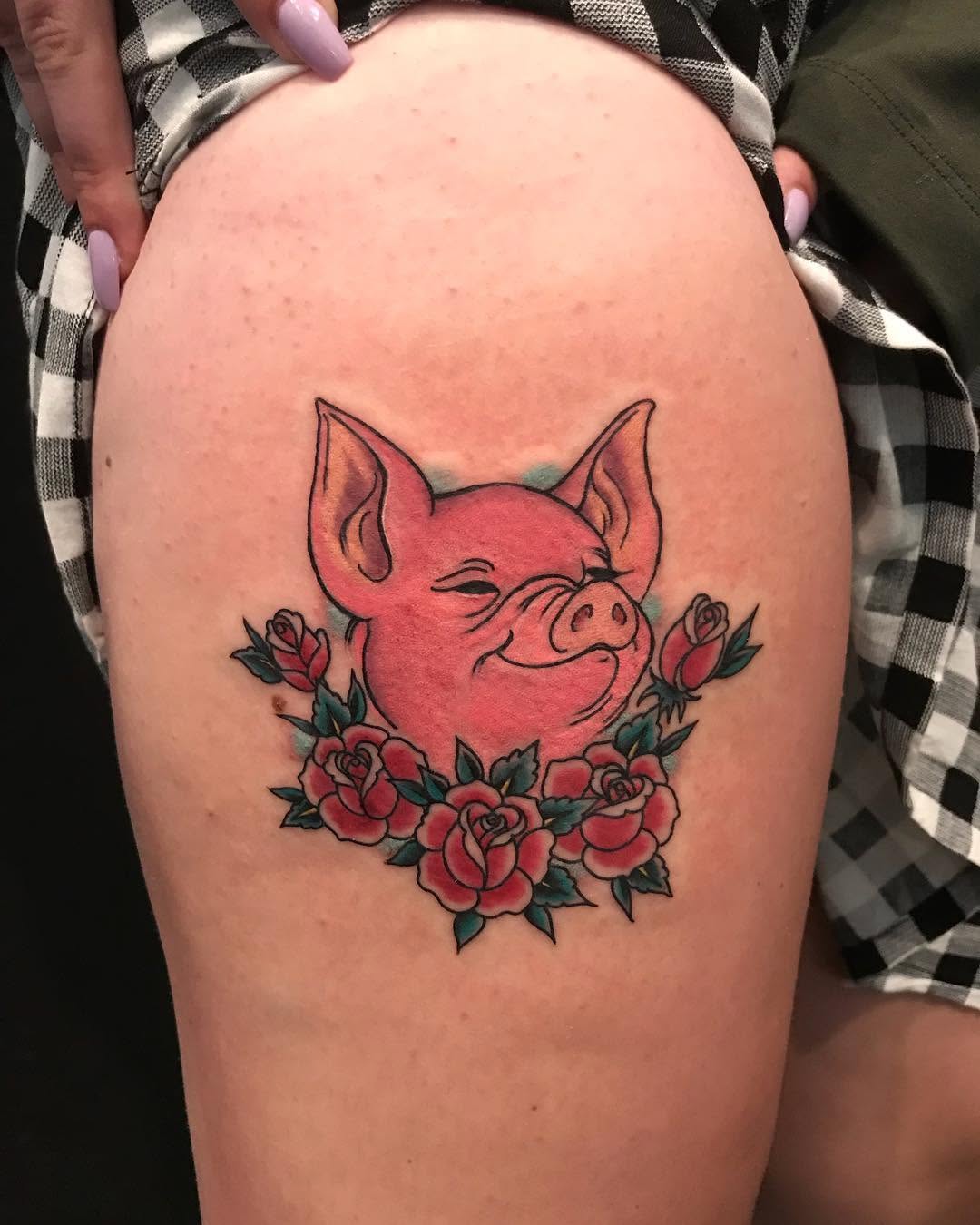 Animal, 돼지