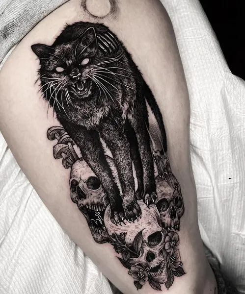 Animal, Tiger