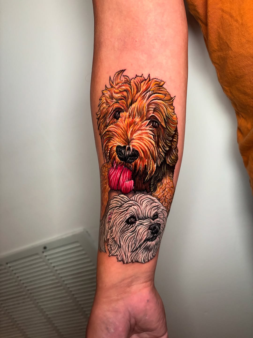 Animal