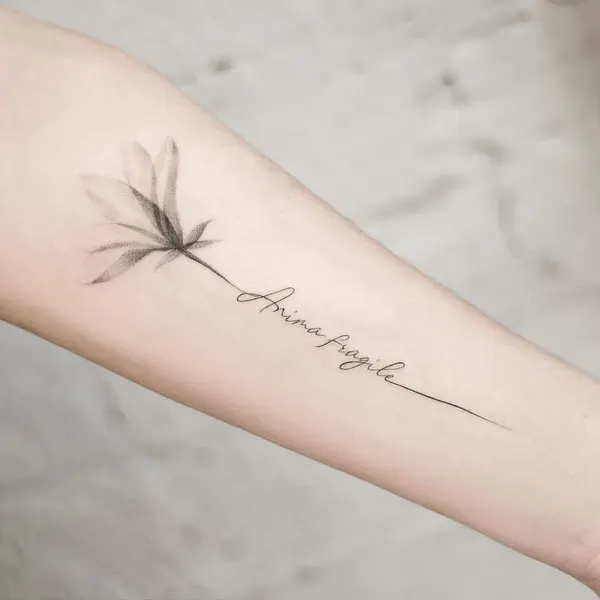 Lettering