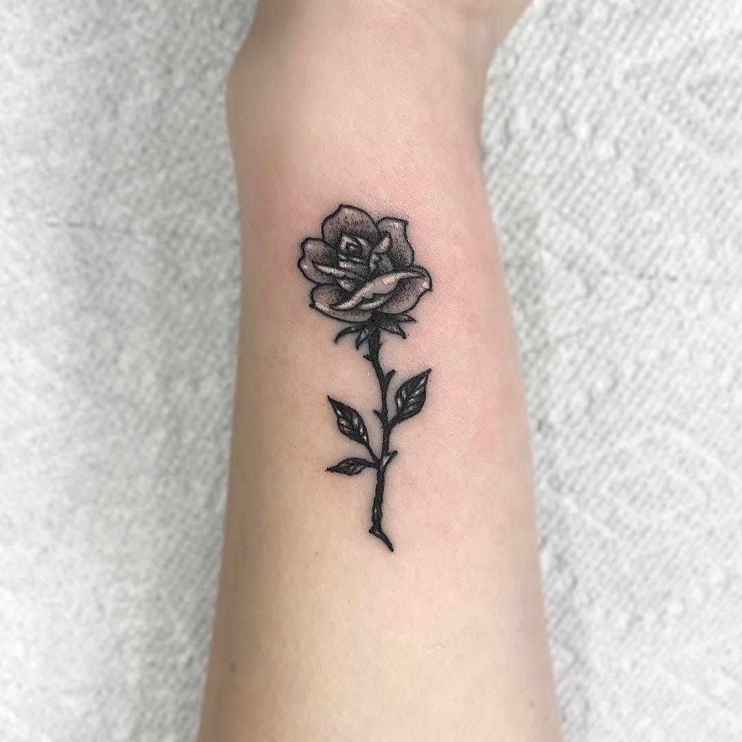 Flower, Rose