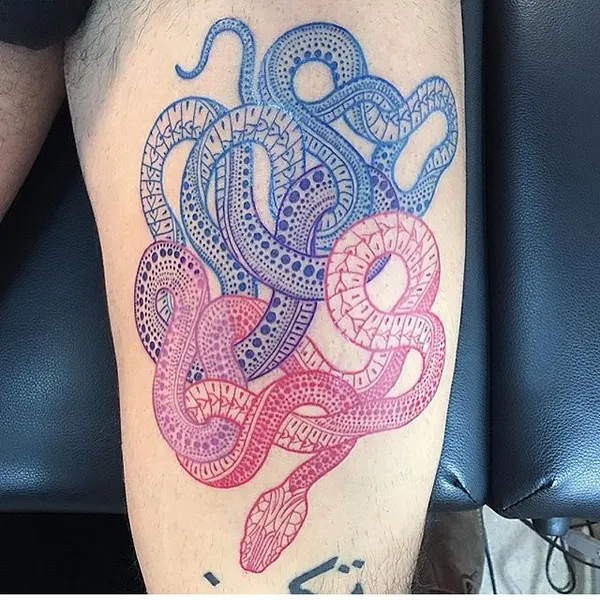 Dragon, 문어, 크라켄