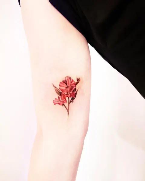 Flower, Rose, 무당벌레
