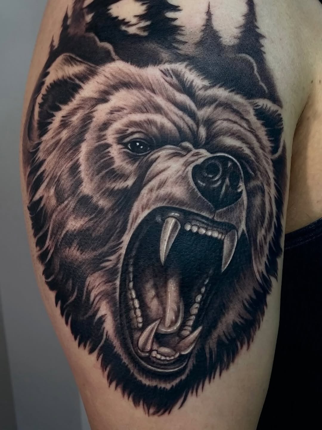 Animal, 곰
