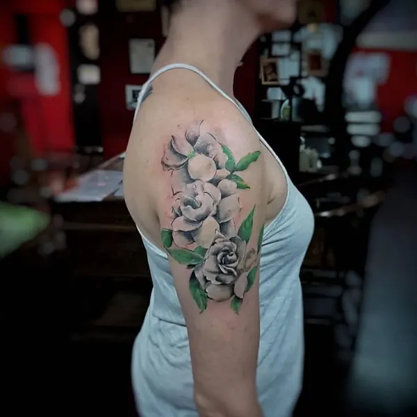 Flower, Rose, Nature