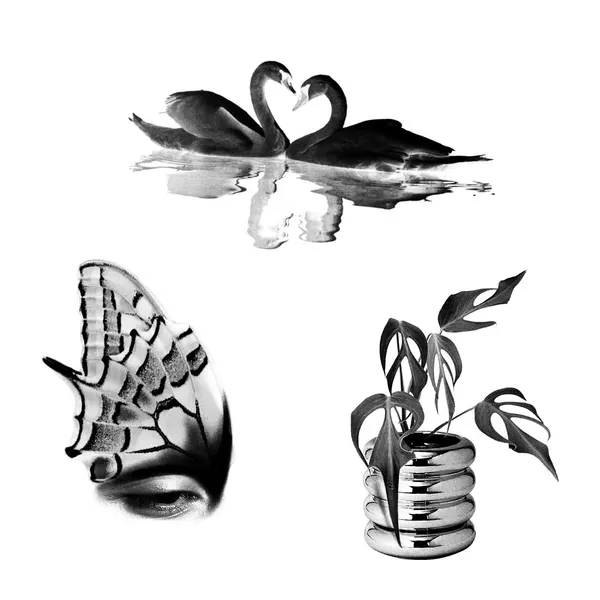 plantsnpokes