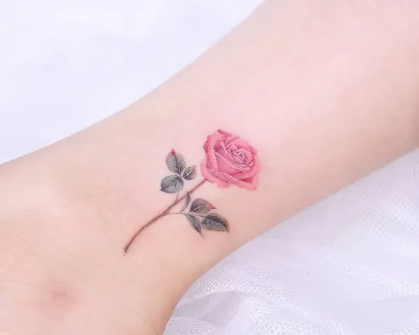 Flower, Rose