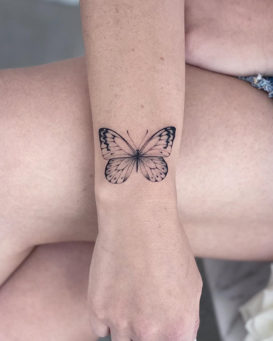 Animal, Nature, 나비