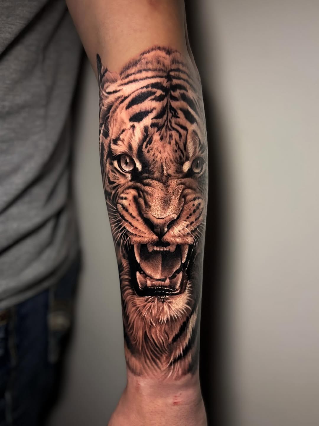 Tiger, 한국 호랑이