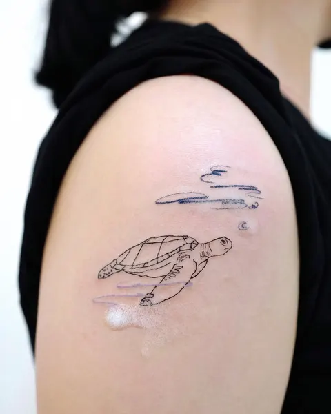 바다거북, 거북이