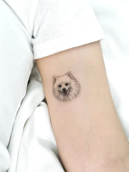 판다, 너구리, 다람쥐, 코알라, 고슴도치, 나무늘보, 대나무