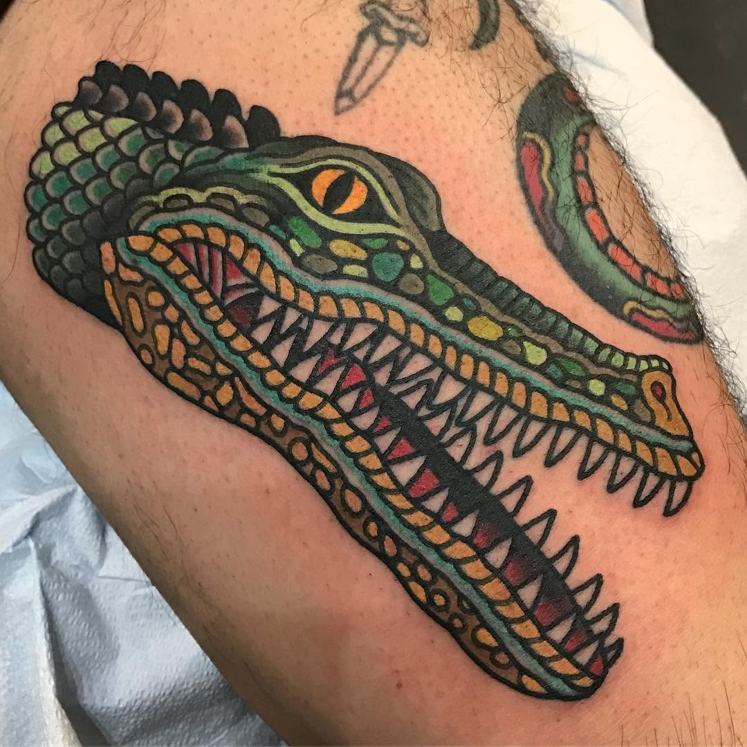 Dragon, 악어