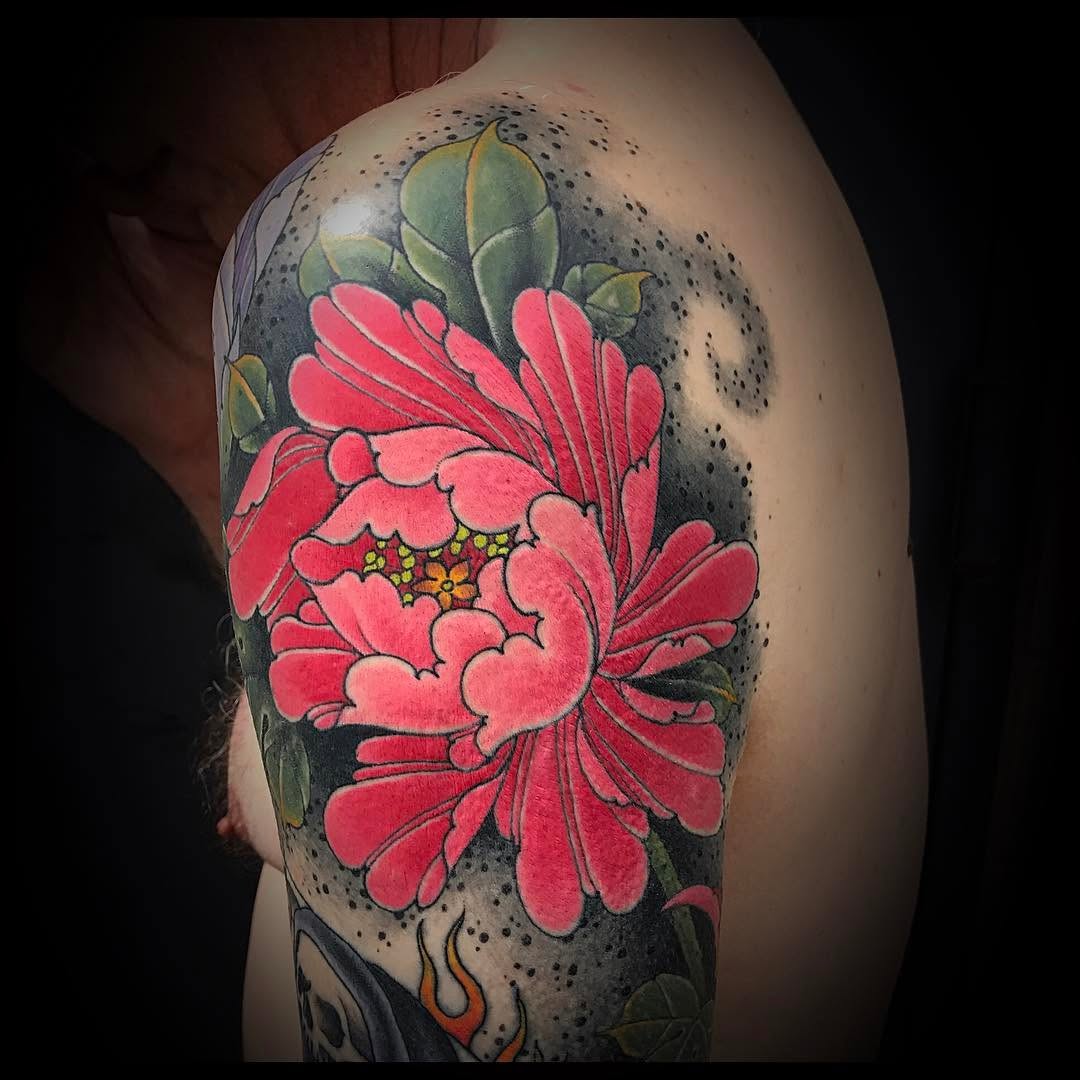 Flower, Rose