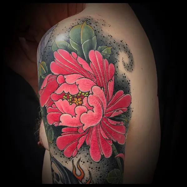 Flower, Rose
