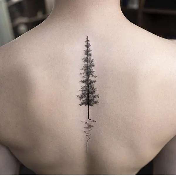 Flower, Nature, 숲, 나무, 소나무, 나뭇가지, 고사리, 실루엣