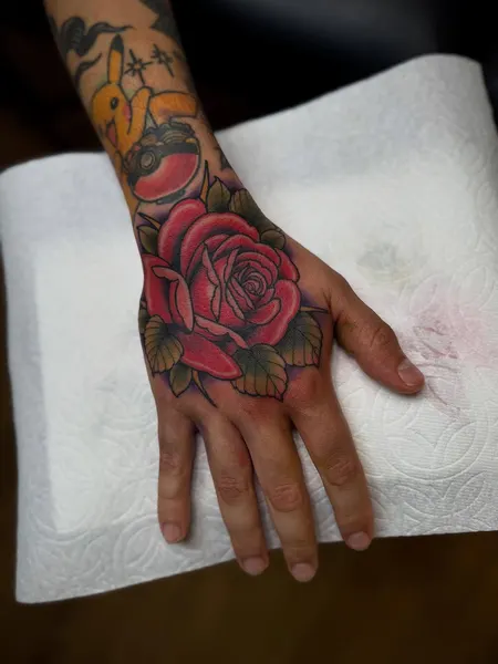 Flower, Rose