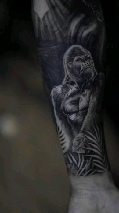 Animal, Tiger