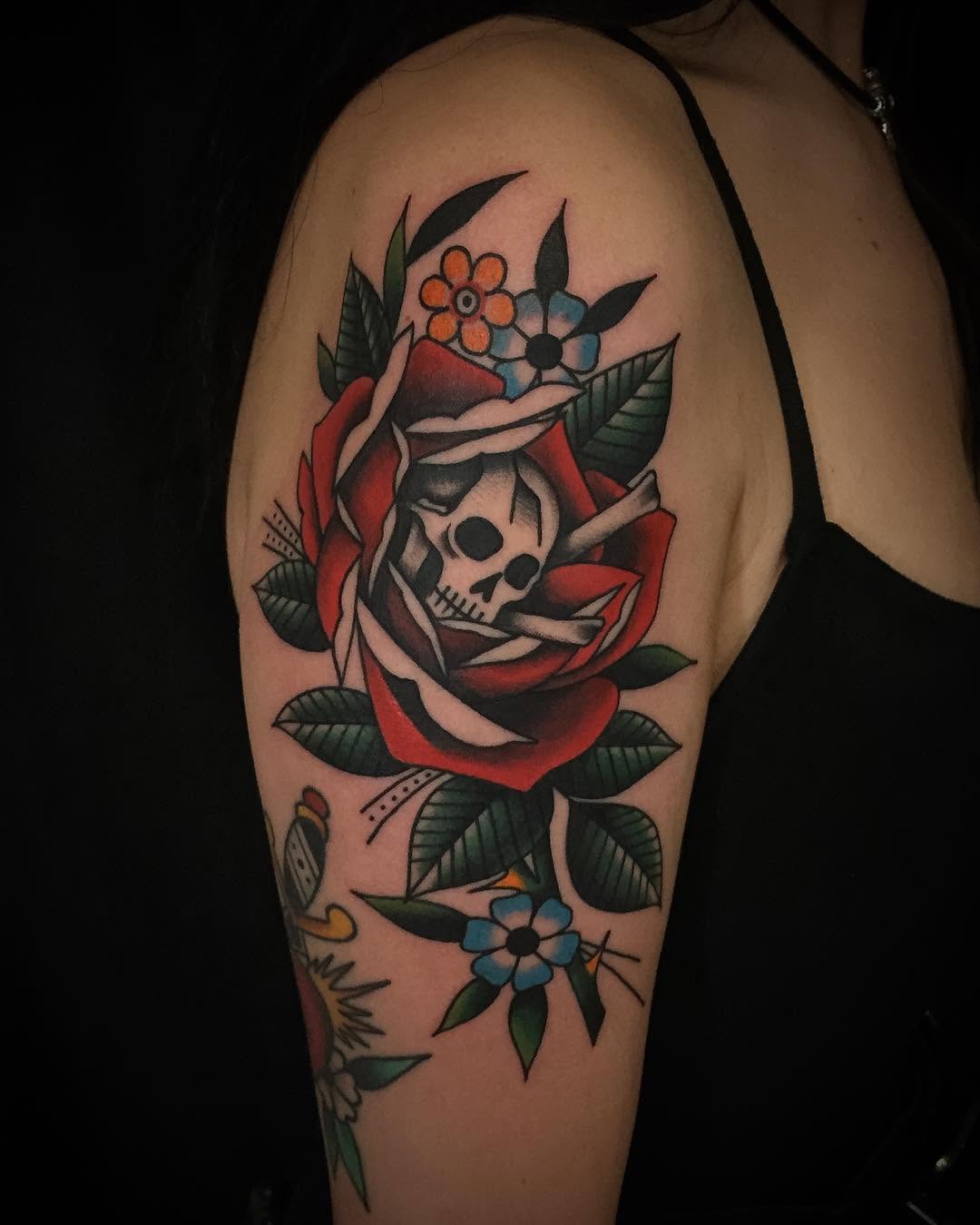 Flower, Rose