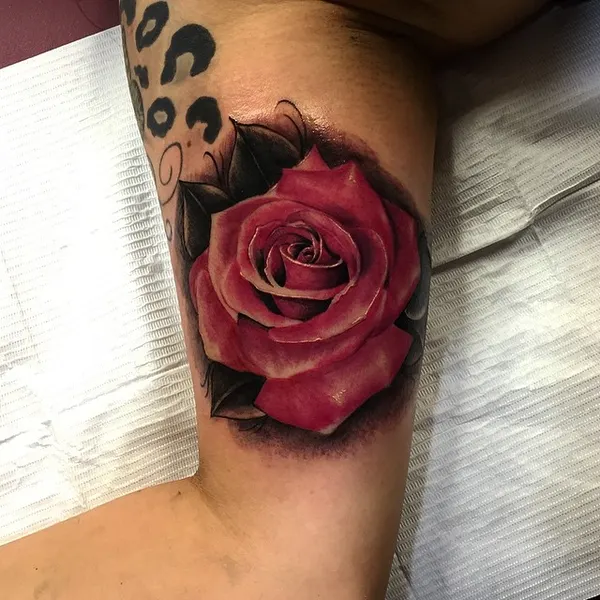 Flower, Rose