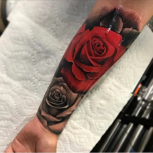 Flower, Rose