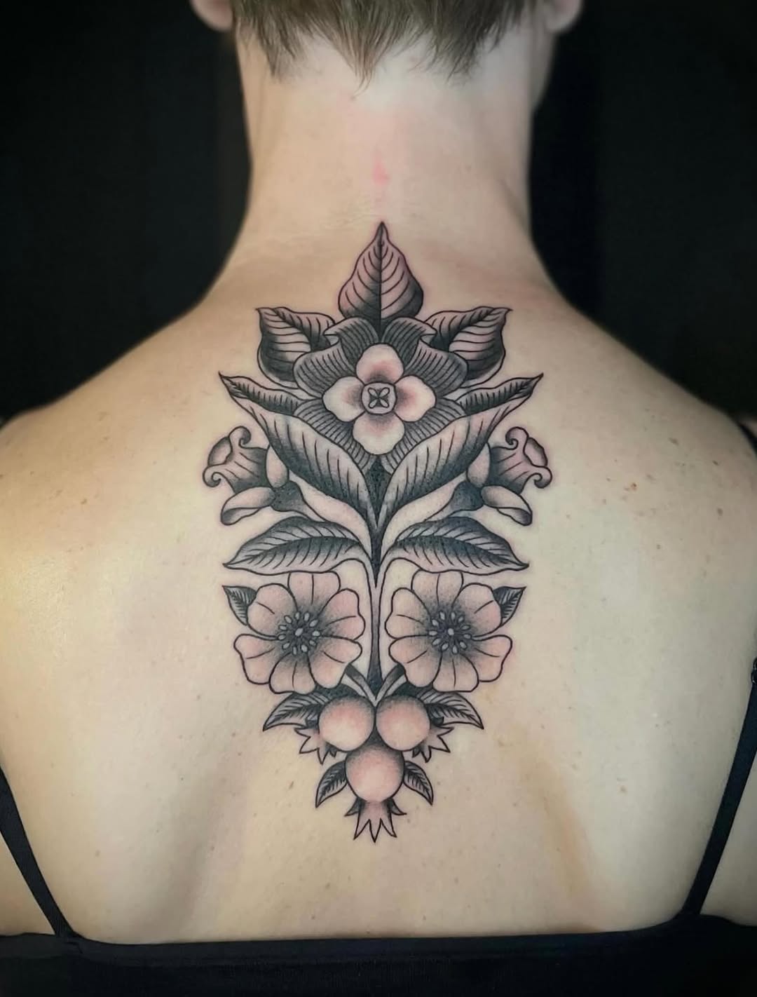 Flower, Nature, Rose