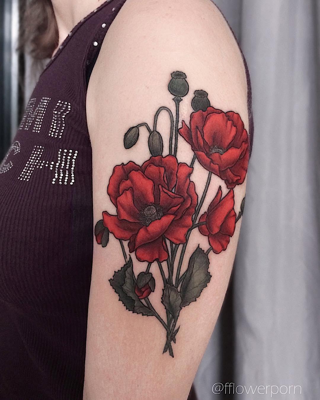 Flower, Rose, Nature