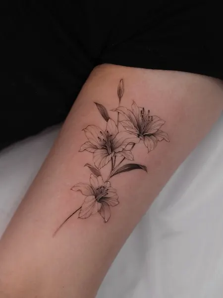 Flower, 민들레, 데이지