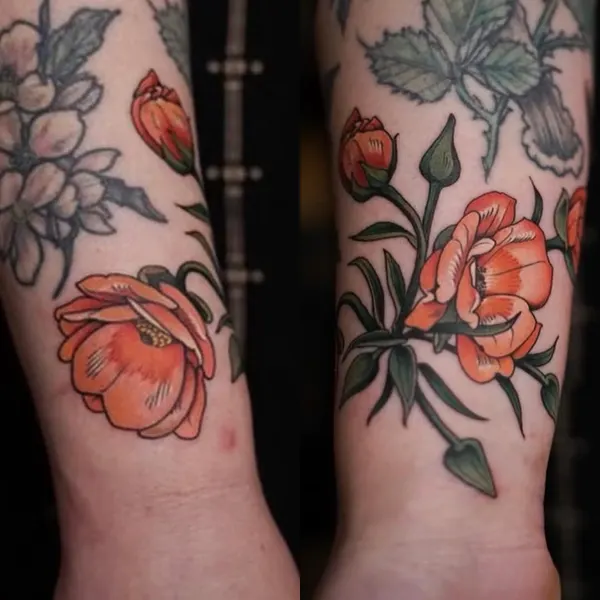 Flower, Rose