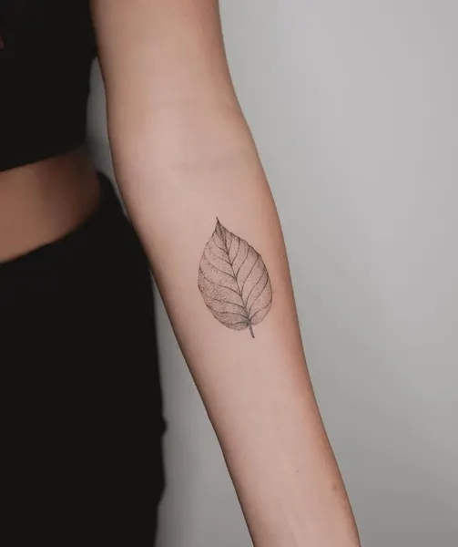 Flower, Rose, 잎, 단풍잎, 은행잎