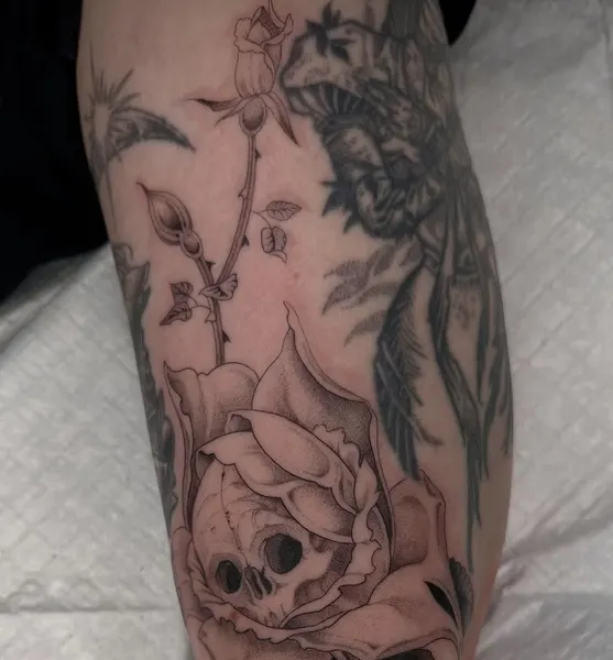 Flower, Rose