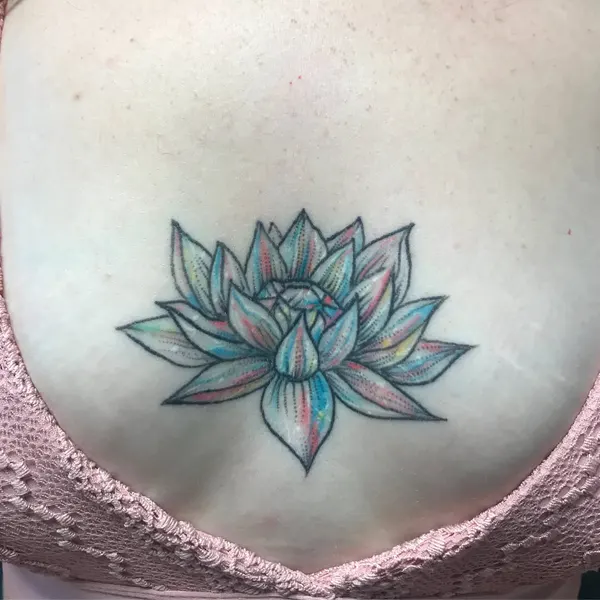 Flower, 연꽃, 한국 연꽃, 연꽃 만다라, 차크라