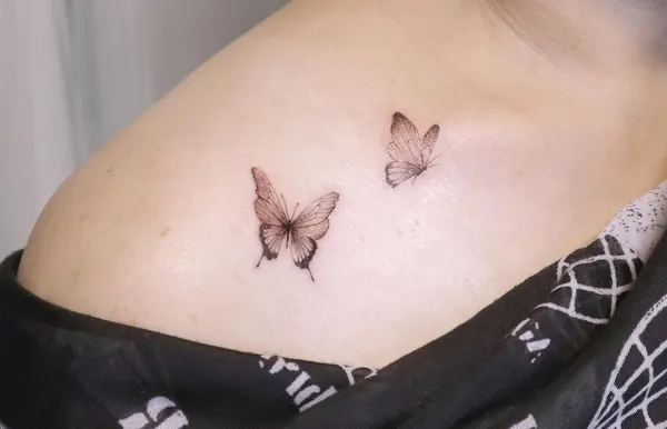 Animal, 나방