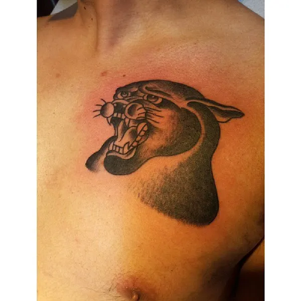 Tiger, Animal