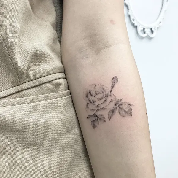 Flower, Rose