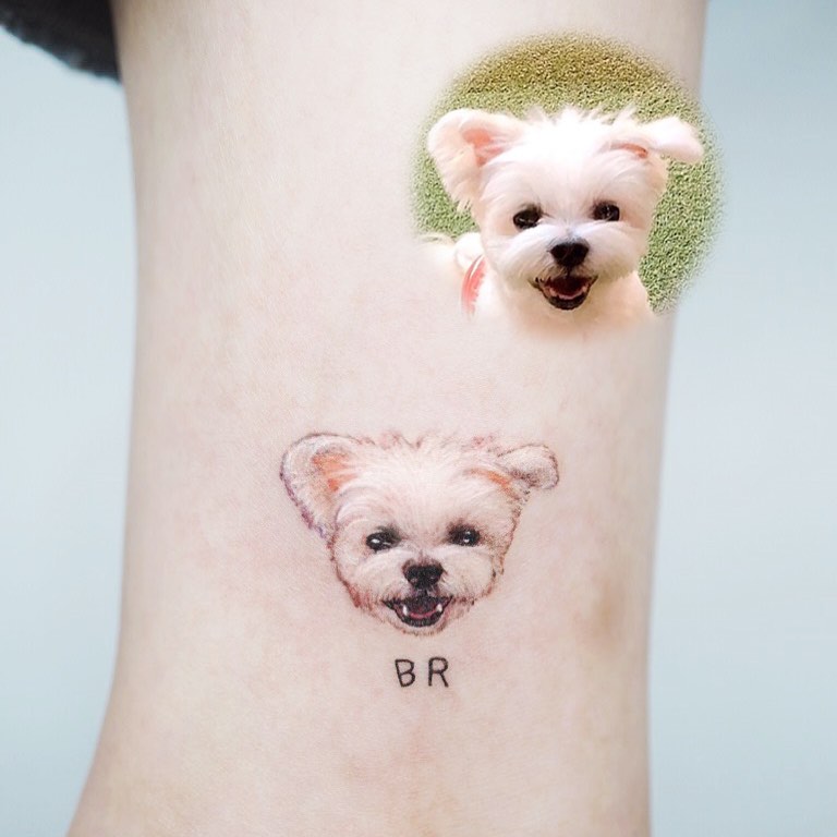 곰