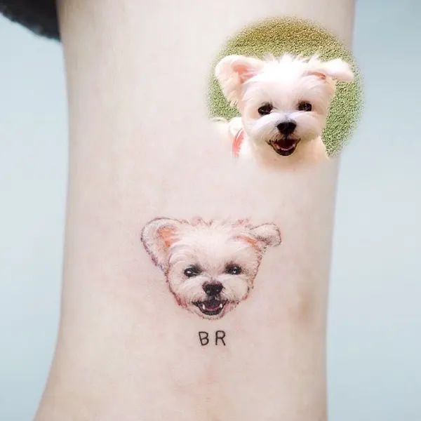 곰