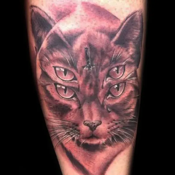 Animal