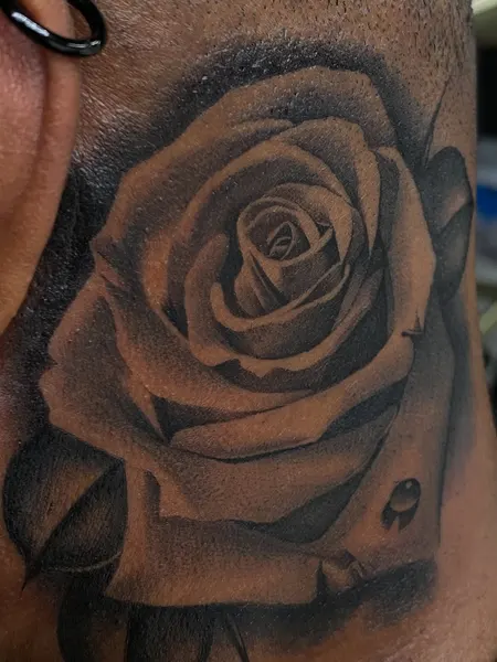 Flower, Rose