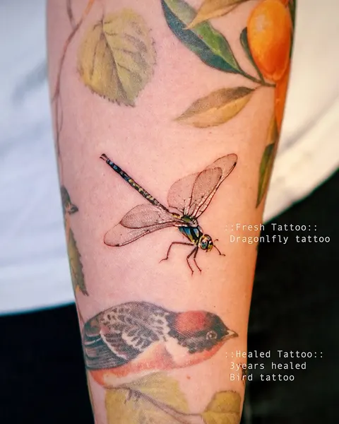 Animal, Nature