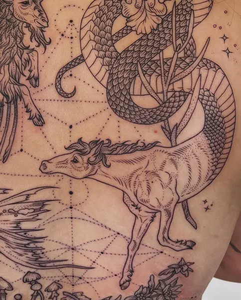 Dragon