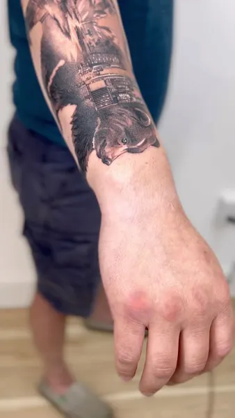 Animal